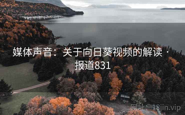 媒体声音：关于向日葵视频的解读 · 报道831