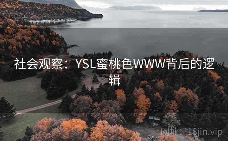 社会观察：YSL蜜桃色WWW背后的逻辑